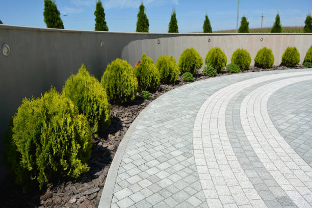 Best Affordable Driveway Paving  in Bonduel, WI